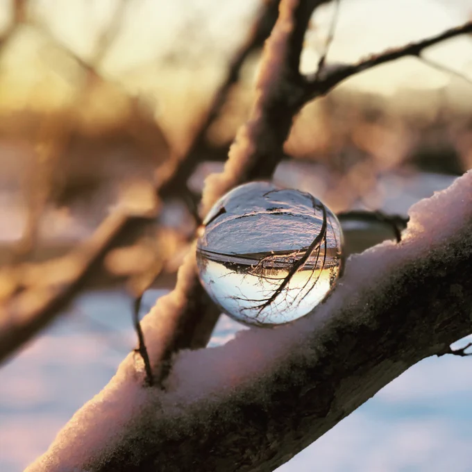 A water droplet captures a winter scene in Harnett County