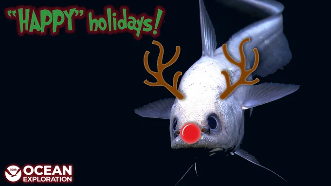 Image of a fish "wearing" a cartoon set of antlers and red nose, with text that reads "HAPPY" holidays and NOAA Ocean Exploration.