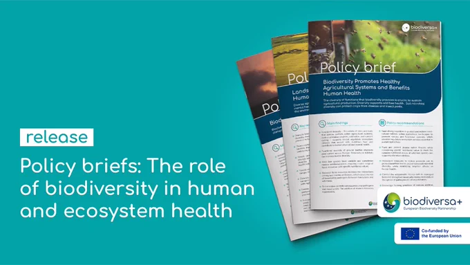 BiodivHealth policy briefs