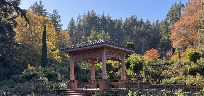 A rain shelter surrounded by trees and vegetation.