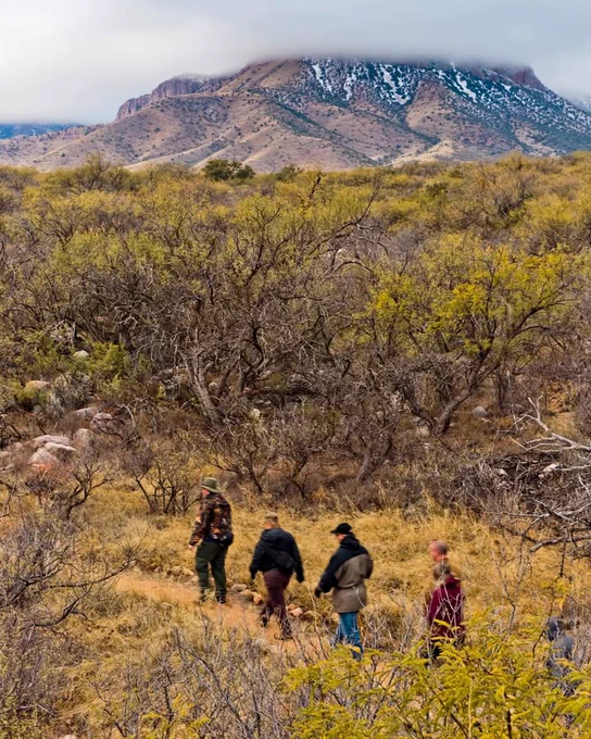 A group of hikers walk on a path following a park ranger through desert scrub. In the background stands a snow-kissed peak of the Whetstone Mountains, with a cloud hovering at the top of the range.