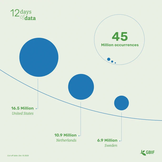 three blue circles representing the top 3 contributing data to gbif in 2024 (data from the country)
