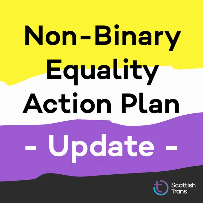 Image is a nonbinary flag with the words ‘Non-Binary Action Plan, update’ across it. 
