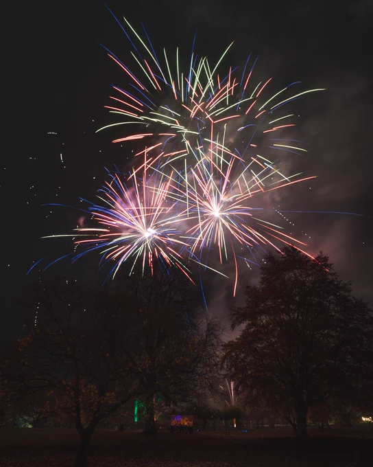 Fireworks in the night sky