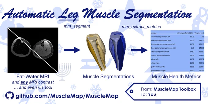 Automatic Leg Muscle Segmentation https://github.com/MuscleMap/MuscleMap