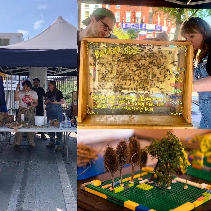 A collage of three images; 1: Andrea and the Metal team standing under a canopy at Loving Lodge Lane, 2: the bee observation hive, 3: lego dens with twigs and leaves.