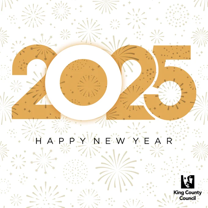 Illustrated fireworks behind a large "2025" and small "Happy New Year".