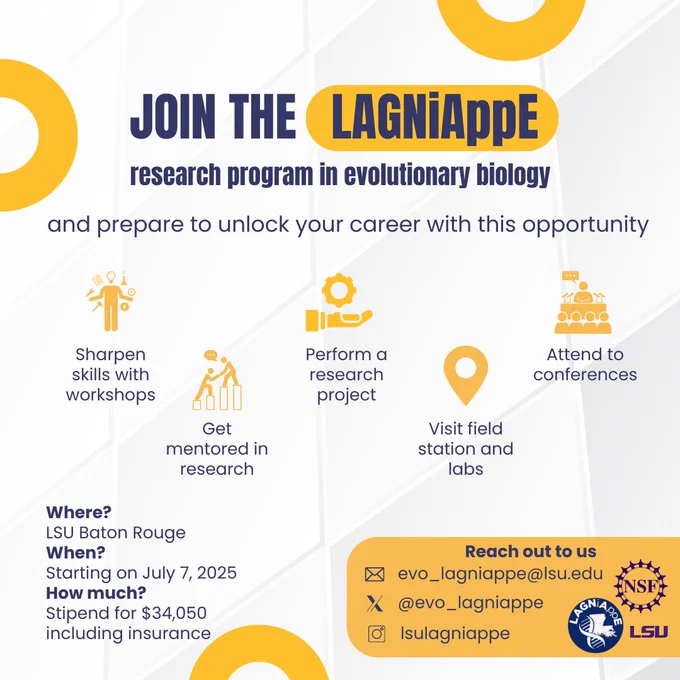 Recent grads or about-to-be: Apply to this opportunity, a paid year-long evolutionary biology research program @lsu! 

 Explore your potential in research
 Work with expert at @lsubiosci
Gain hands-on experience 

Apply by 3/16/25. 