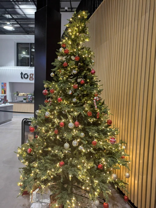 Christmas tree with lights