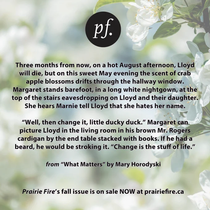 Background of crab apple blossoms on a crab apple tree. 

Top centre is the pf logo in black.

Three months from now, on a hot August afternoon, Lloyd will die, but on this sweet May evening the scent of crab apple blossoms drifts through the hallway window. Margaret stands barefoot, in a long white nightgown, at the top of the stairs eavesdropping on Lloyd and their daughter. She hears Marnie tell Lloyd that she hates her name.

“Well, then change it, little ducky duck.” Margaret can picture Lloyd in the living room in his brown Mr. Rogers cardigan by the end table stacked with books. If he had a beard, he would be stroking it. “Change is the stuff of life.”

from “What Matters” by Mary Horodyski

Prairie Fire’s fall issue is on sale NOW at prairiefire.ca