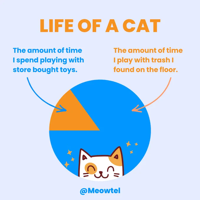 Life of a cat is written in large orange letters above a pie chart. The 25% section of the pie chart says "The amount of time I spend playing with store bought toys." The 75% section of the pie chart says "The amount of time I play with trash I found on the floor."
