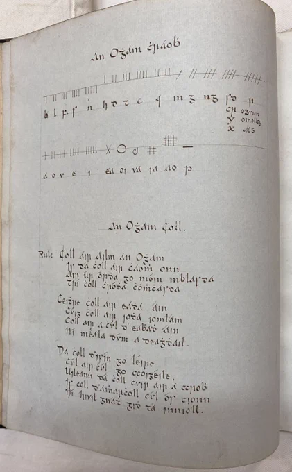 (c) Royal Irish Academy MS 23 M 35 (665)
(c) dhaydenceltic