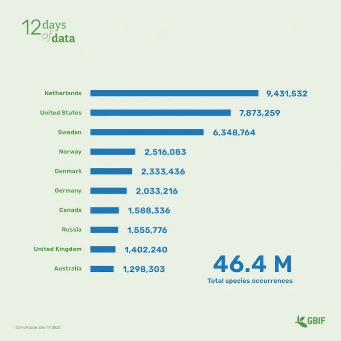 Bar graph showing most to least amount of data records about a country in 2024