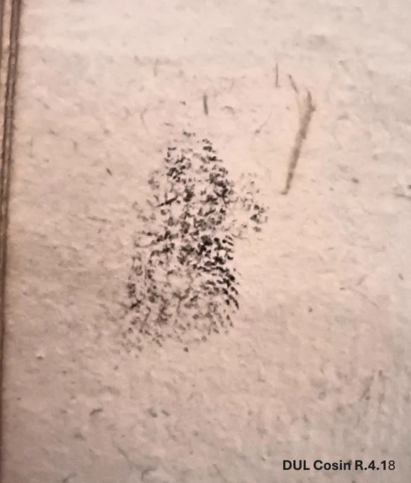  Close-up of a thumbprint in black ink on paper used to print a book in the early modern period. 