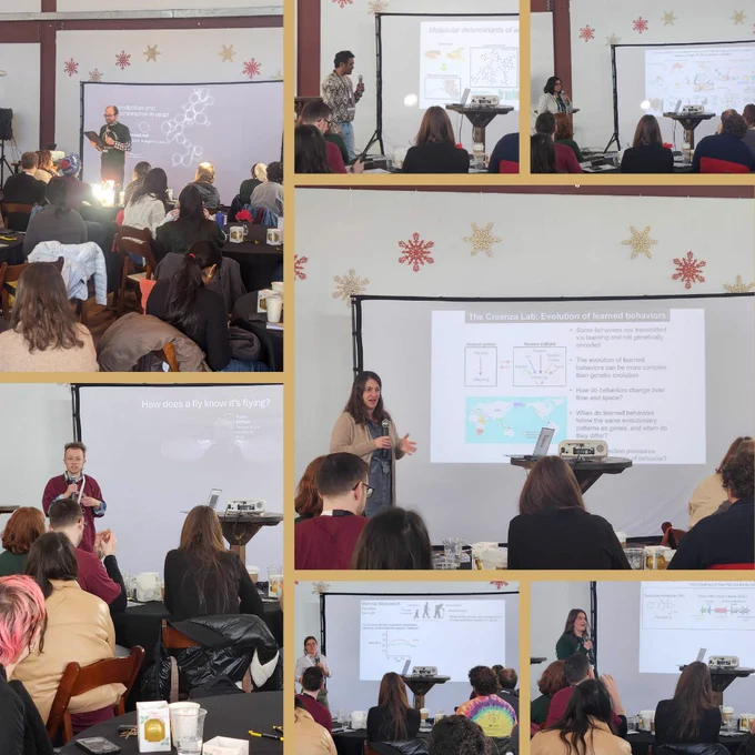 A collage of images from the ESI Retreat 2024 featuring presenters and their projected slides. Attendees are seated at round tables, listening to the speakers. The images showcase diverse topics, with some slides displaying diagrams, graphs, and text. The room is decorated with snowflake-themed accents.