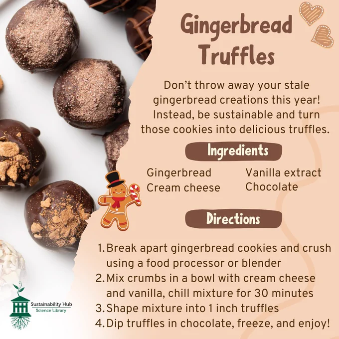 image of gingerbread truffle cookies. Text reads: Gingerbread Truffles. Don't throw away your stale gingerbread creations this year! Instead, be sustainable and turn those cookies into delicious truffles. Ingredients: Gingerbread, cream cheese, vanilla extract, Chocolate. Directions: 1. Break apart gingerbread cookies and crush using a food processor or blender. 2. Mix crumbs in a bowl with cream cheese and vanilla, chill mixture for 30 minutes. 3. Shape mixture into 1 inch truffles 4. Dip truffles in chocolate, freeze, and enjoy!