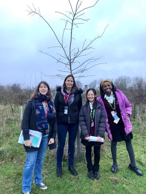 Trees for Cities Senior Engagement Manager with a staff member and two students from Elthorne Park High School's eco-team in front of a standard tree.