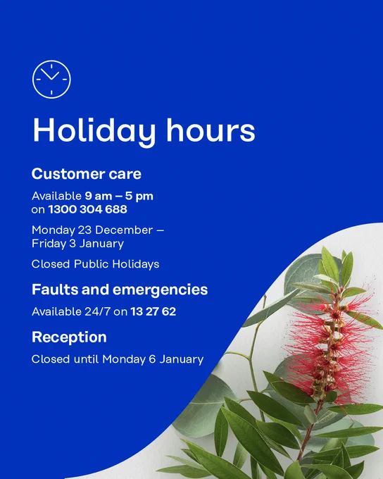 Promotional image detailing holiday hours for Customer Service. Available 9 am to 5 pm, closed on 24th December and public holidays, with emergency services operational 24/7. The image features botanical elements and a festive design.