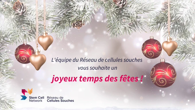 
joyeux temps des fêtes