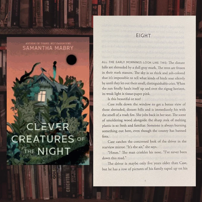 Preview of the book cover and text from the first page.