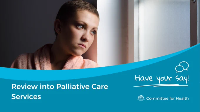 The photograph features a young women looking out of a window. On a blue background beneath the photograph on the left of the image are the words in white: Review into Palliative Care Services. On the right are two speech bubbles and in white text the words Have Your Say! Beneath that is the Assembly Flax logo in white followed by the words Committee for Health.  