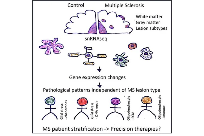 Graphical abstract illustrating the main findings of the publication