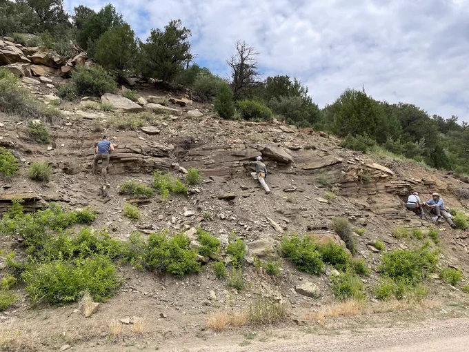 A group of four people is seen prospecting for plant fossils in Berwind Canyon, CO on a rocky hillside with sparse green vegetation. They are scattered across the slope, wearing outdoor clothing and hats, and appear to be geologists or researchers. One individual is climbing the slope on the left, another is crouched in the center inspecting rocks, while two others on the right are working together, possibly collecting samples or analyzing the rock layers. The background shows a cloudy sky with some trees on top of the hill. The terrain consists of layered rock formations with loose stones and shrubs. Photo by Ellen Currano