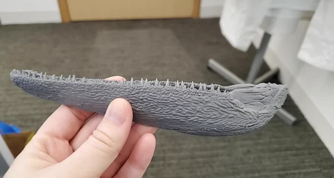 A 3d printed lower jaw of Gogosardina coatesi. Not to scale.