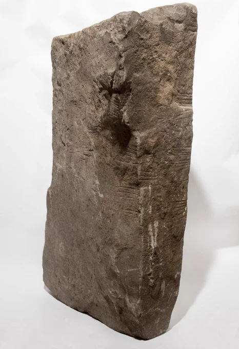 Donaghmore ogam stone
(c) National Museum of Ireland