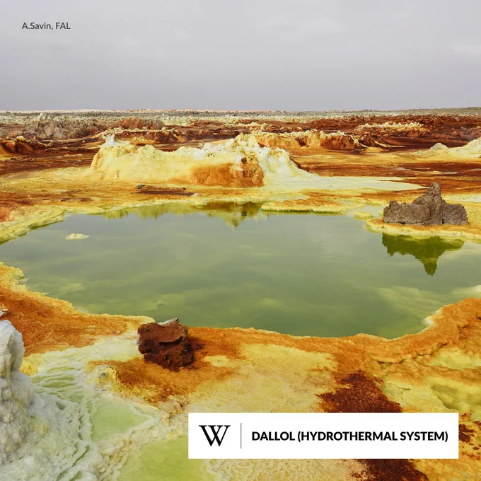 A desert scene featuring vibrant yellow and orange rocks positioned around a calm green pond.
