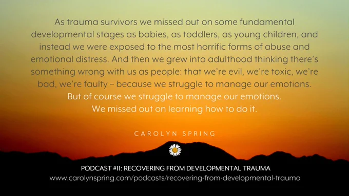 "As trauma survivors we missed out on some fundamental developmental stages as babies, as toddlers, as young children, and instead we were exposed to the most horrific forms of abuse and emotional distress. And then we grew into adulthood thinking there's something wrong with us as people: that we're evil, we're toxic, we're bad, we're faulty – because we struggle to manage our emotions."