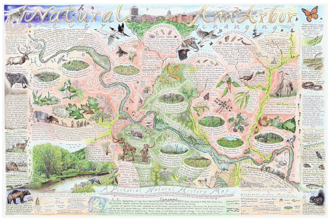 Illustrated map titled "Natural Ann Arbor" by Marcy Marchello, featuring detailed drawings of local wildlife, plants, and landmarks.