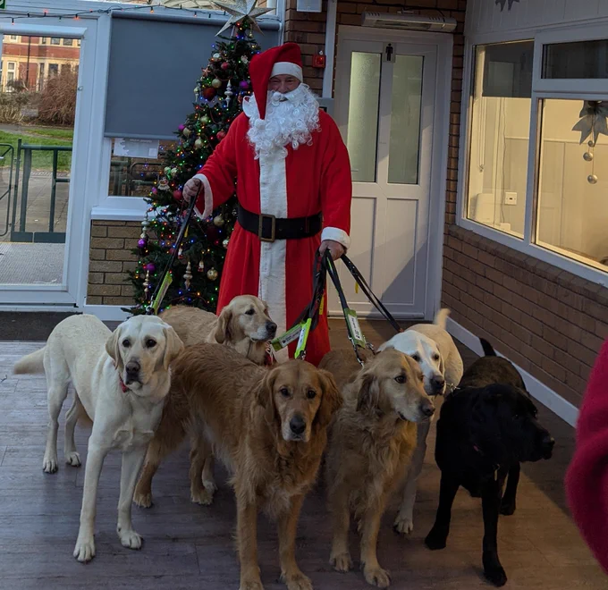 Six guide dogs with Santa Infront of a Christmas tree 🎄