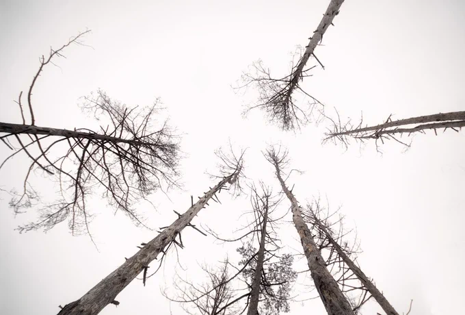 Photo by Alex Belogub for Unsplash