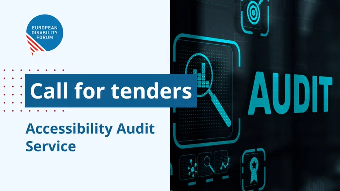 call for tenders: accessibility Audit Service