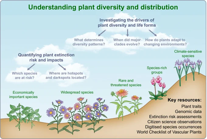 Figure 1 from the Special collection Editorial by Alexandre Antonelli, et al. (2023): Why plant diversity and distribution matter.