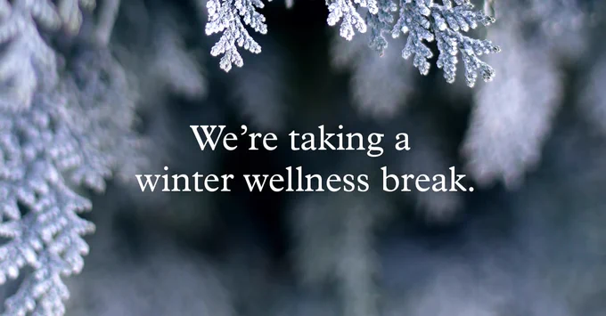 Ice frosted pine tree background with "We're taking a winter wellness break." centered.