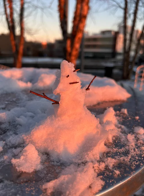 A photo of a small snow sculpture.