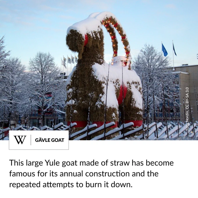 An enormous goat made of straw blanketed in snow. Text says: This large Yule goat made of straw has become famous for its annual construction and the repeated attempts to burn it down.