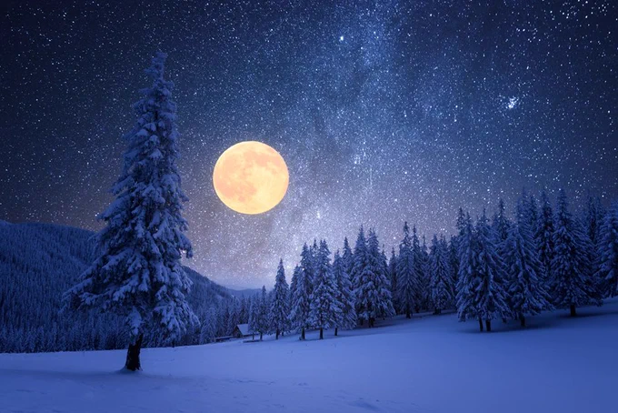 Snow-covered pine trees stand peacefully under a clear, star-filled night sky. A golden full moon shines brightly, casting a soft glow over the snowy landscape, creating a tranquil and reflective atmosphere