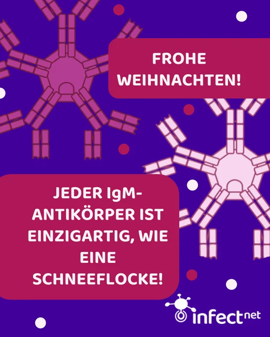 Weihnachtsgrafik: Zwei rosa Schneeflocken, die aus Antikörpern zusammengesetzt sind auf blauem Hintergrund. Darüber zwei Textfelder, in denen steht: Frohe Weihnachten! und Jeder IgM-Antikörper ist einzigartig, wie eine Schneeflocke. Das Infect-Net-Logo steht unten rechts in weiß.