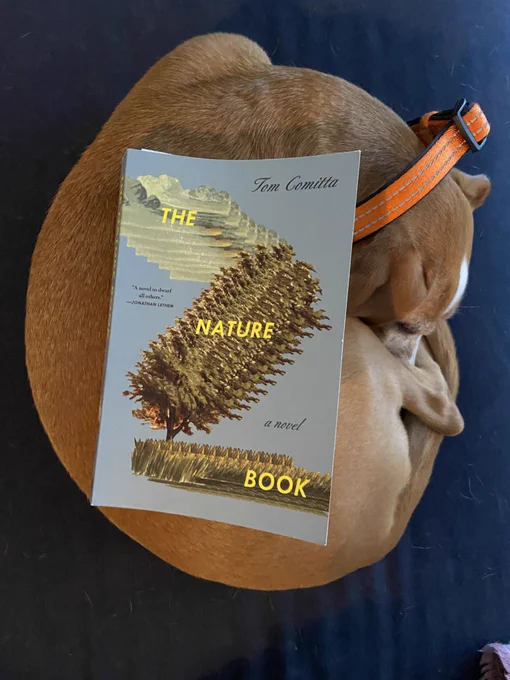 Tom Comitta, The Nature Book, on my dog