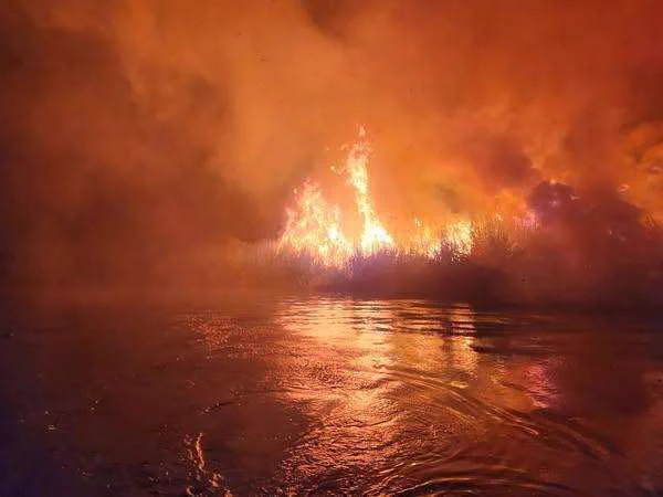 Wildfire burning in vegetation next to the Colorado River at night/early morning.