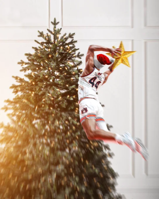 A graphic of Dylan cardwell dunking a star on the top of a tree