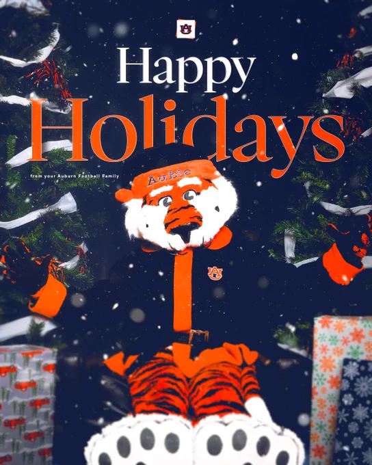 Merry Christmas and Happy Holidays!