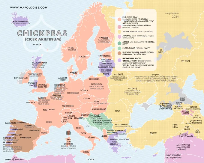 etymology map of chickpea (cicer arietinum)