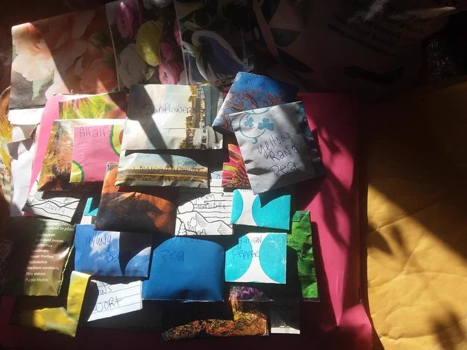 Many tiny envelopes on coloured papers with seed types listed -sunflowers, peas,tomatillo, peppers, ect