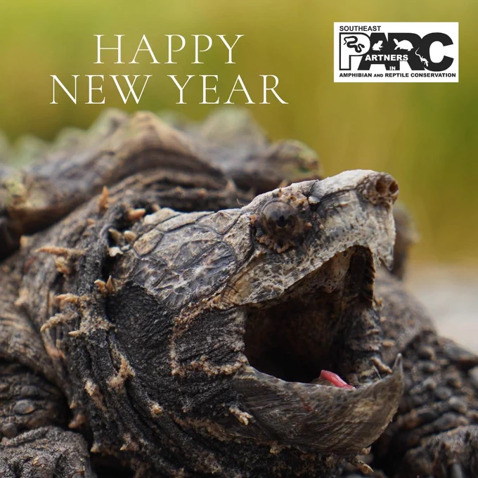 Snapping turtle wishing you a happy new year.