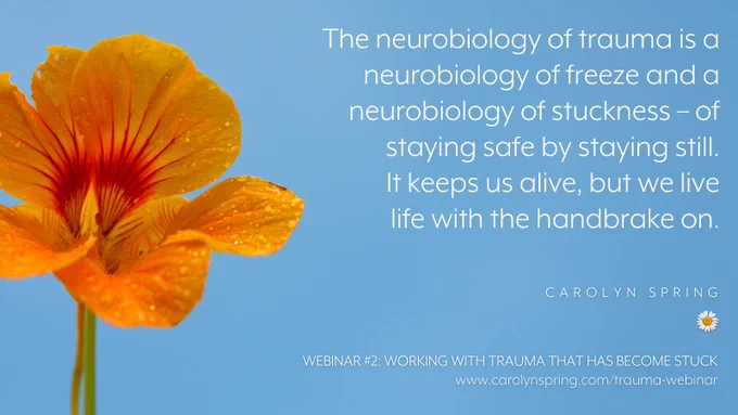 "The neurobiology of trauma is a neurobiology of freeze and a neurobiology of stuckness – of staying safe by staying still. It keeps us alive, but we live life with the handbrake on."