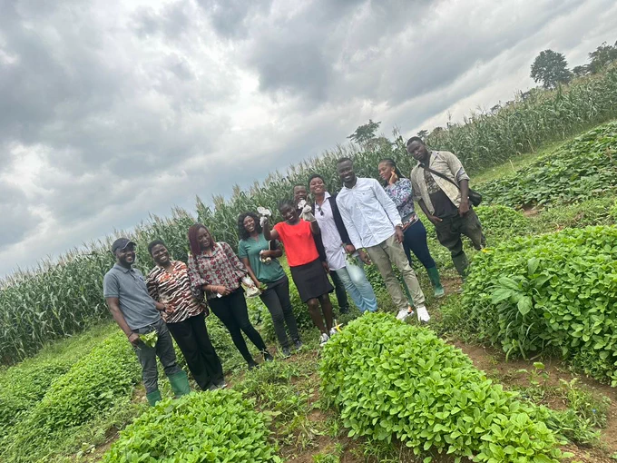 Josephine (fourth from the left) with research staff at the Horticulture Innovation Lab West Africa Regional Hub evaluate trials of indigenous leafy vegetables, including spider plant, jute mallow, and amaranth.